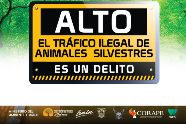 ALTOALTRAFICO