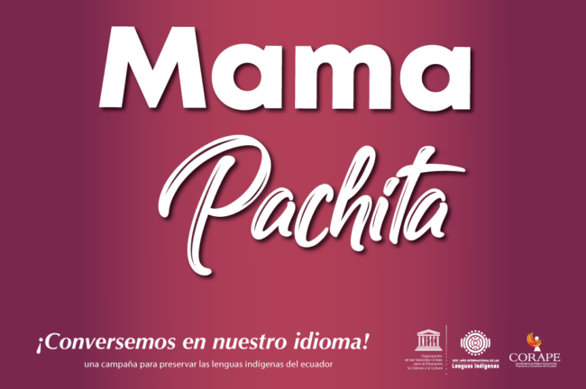 MAMAPACHITA
