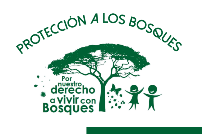 PROTECCIONALOSBOSQUES