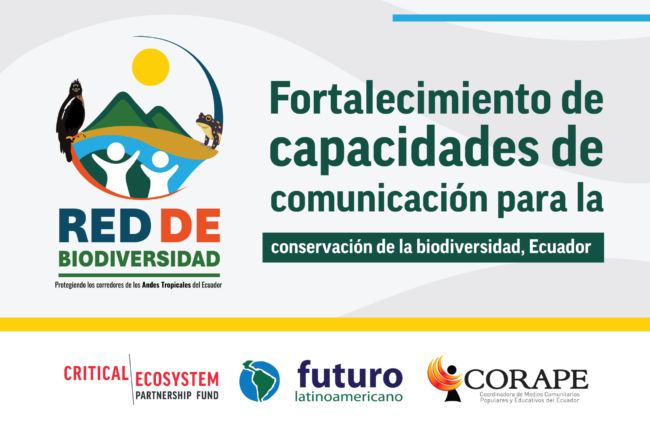 LOGO CORAPE PROYECTOS